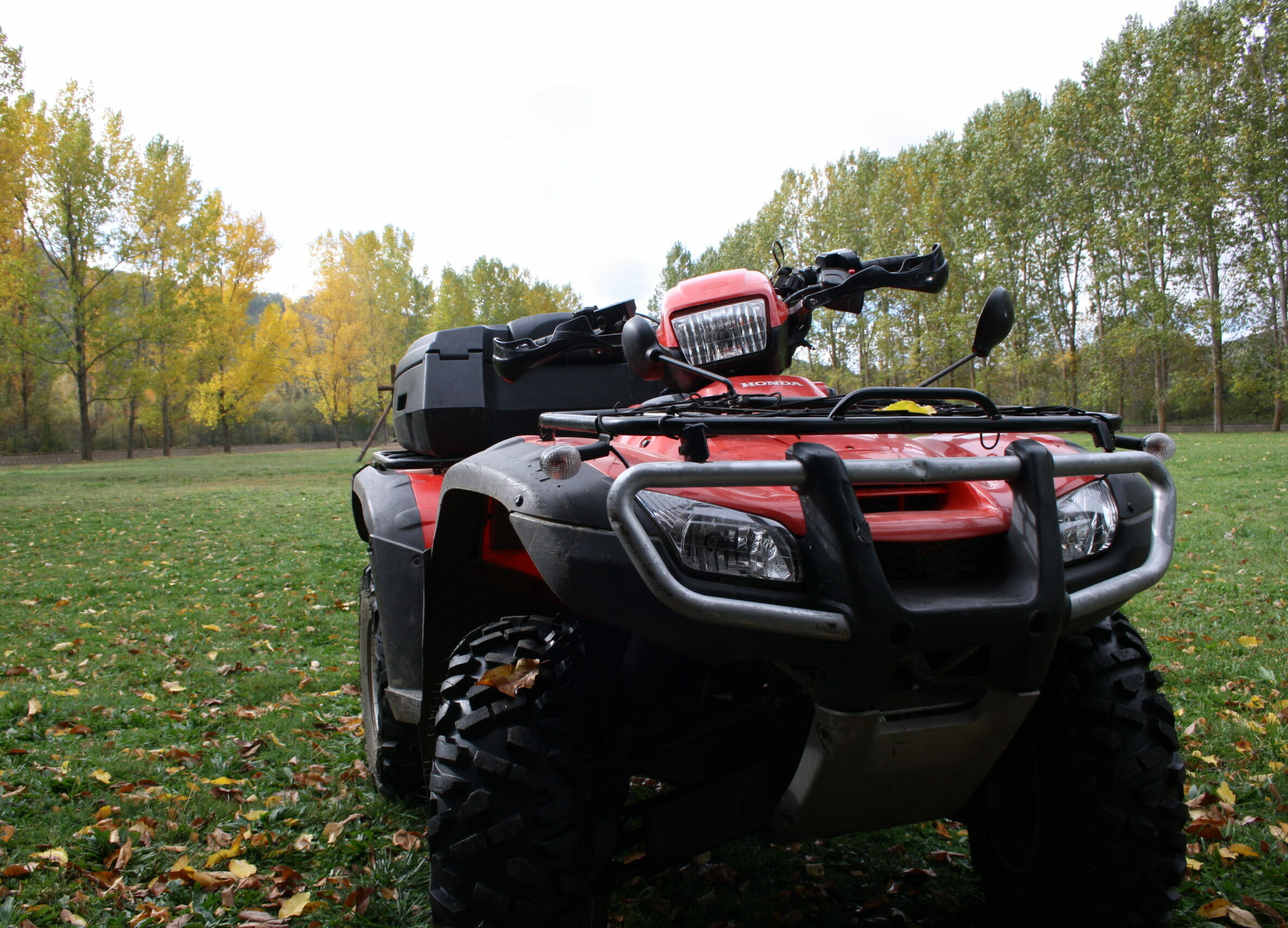Quad