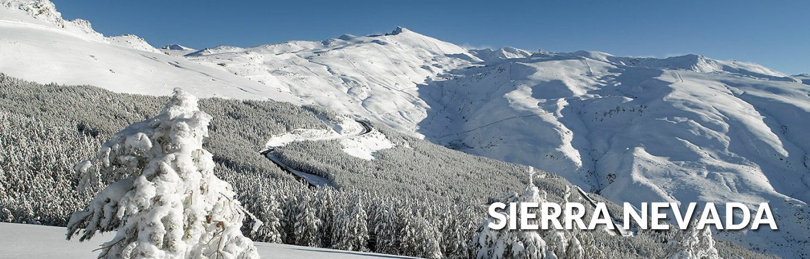 Sierra Nevada
